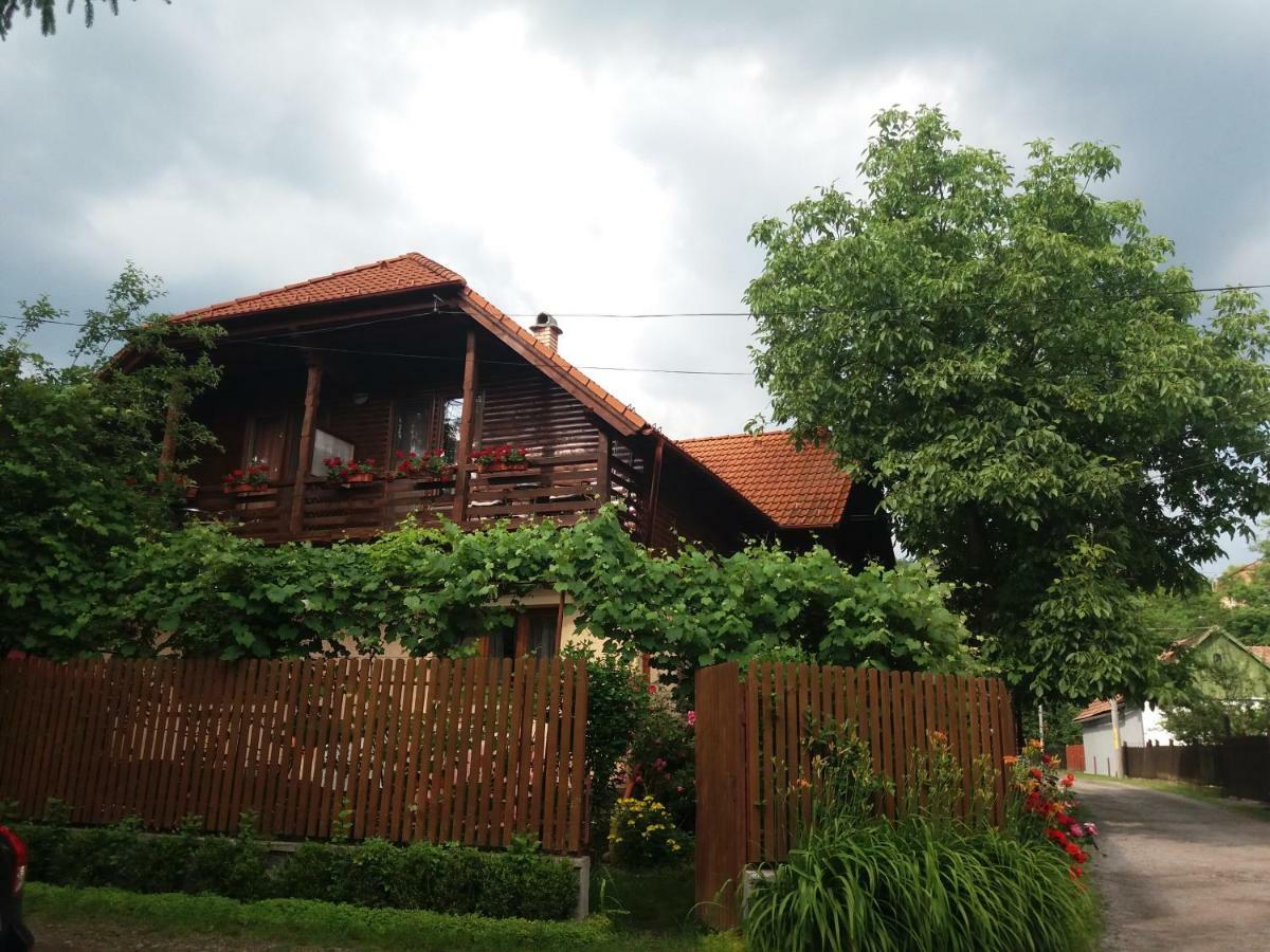 Апартаменти Pasager House Совата Екстер'єр фото